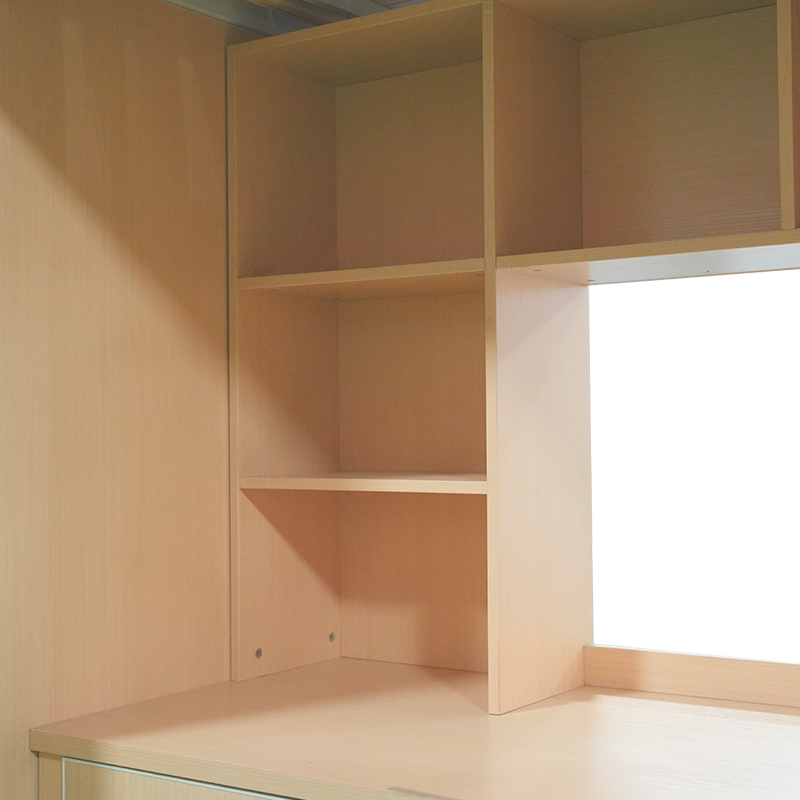 Cama Litera Moderna y Segura para Dos Personas con Escritorio